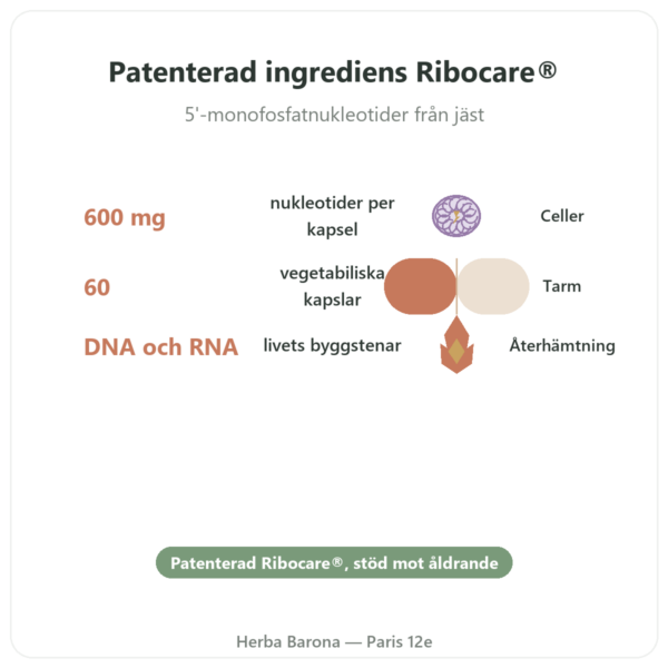 Nukleotider Ribocare® 600 mg – Dynveo – 60 kapslar fördelar och nyckelfakta Paris Herba Barona