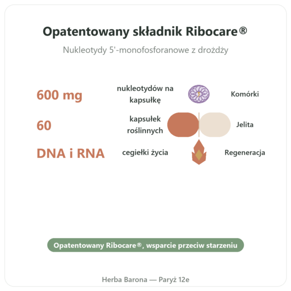 Nukleotydy Ribocare® 600 mg – Dynveo – 60 kapsułek korzyści i najważniejsze fakty Paris Herba Barona