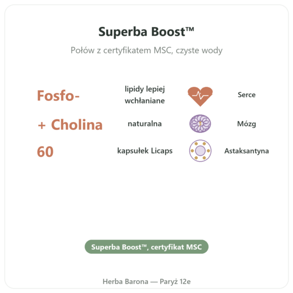 Olej z Kryla czysty superba Boost™ 60 kapsułek DYNVEO korzyści i najważniejsze fakty Paris Herba Barona