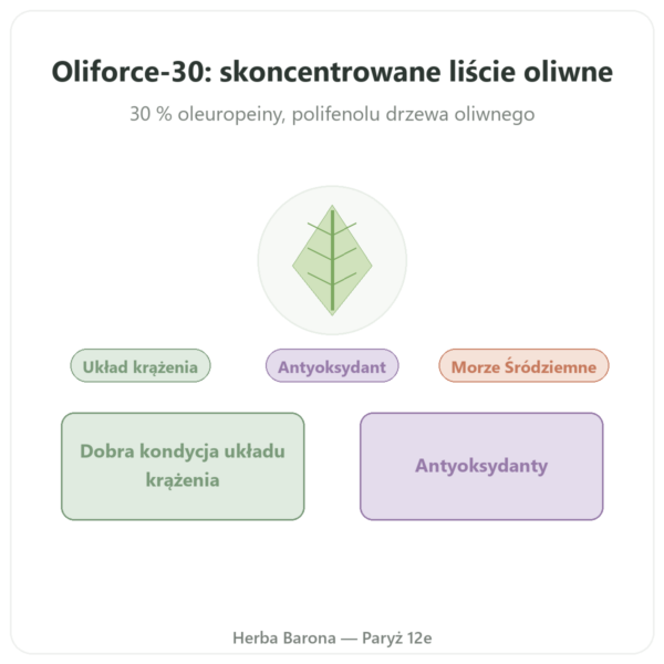 OLIFORCE-30 - Ekstrakt z lisci oliwnych 30% oleuropeina 10% Triterpeny prezentacja Paris Herba Barona
