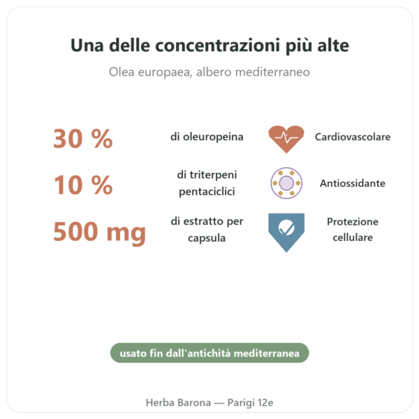 OLIFORCE-30 – Estratto di foglie d'Olivo al 30% oleuropeina 10% Triterpeni benefici e dati chiave Paris Herba Barona