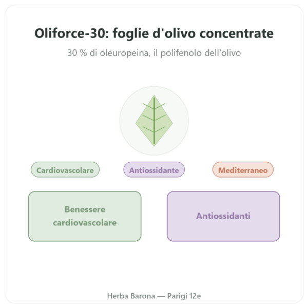 OLIFORCE-30 – Estratto di foglie d'Olivo al 30% oleuropeina 10% Triterpeni presentazione Paris Herba Barona