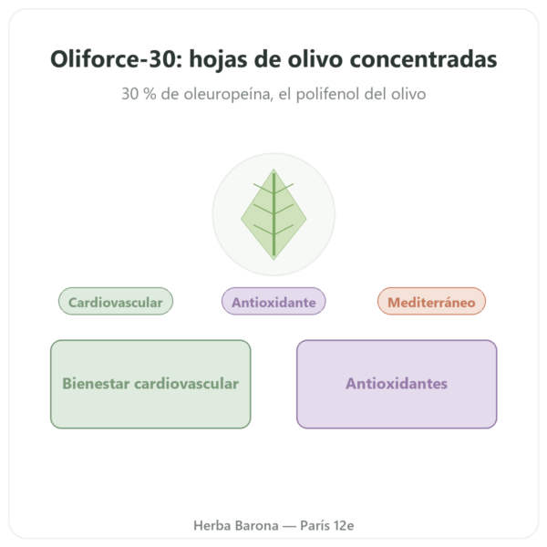 OLIFORCE-30 – Extracto de Hojas de Olivo al 30% Oleuropeína 10% Triterpenos presentación Paris Herba Barona