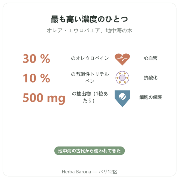 OLIFORCE-30 – オリーブ葉エキス オレウロペイン30% トリテルペン10% benefits and key facts Paris Herba Barona