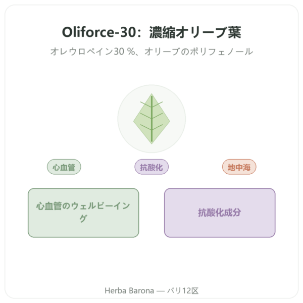 OLIFORCE-30 – オリーブ葉エキス オレウロペイン30% トリテルペン10% presentation Paris Herba Barona