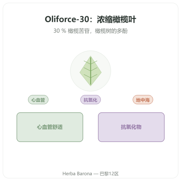 OLIFORCE-30 – 橄榄叶提取物 30% 橄榄苦苷 10% 三萜 产品展示 Paris Herba Barona
