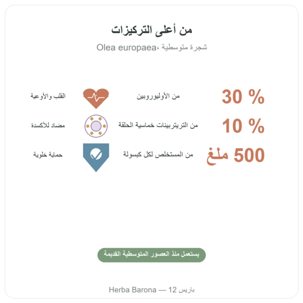 OLIFORCE-30 – مستخلص أوراق الزيتون بنسبة 30% أوليوروبين و10% تريتيربينات الفوائد والمعطيات الرئيسية Paris Herba Barona