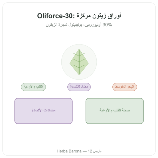 OLIFORCE-30 – مستخلص أوراق الزيتون بنسبة 30% أوليوروبين و10% تريتيربينات عرض المنتج Paris Herba Barona