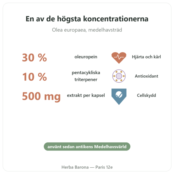 OLIFORCE-30 – Extrakt av Olivblad med 30% oleuropein 10% Triterpener fördelar och nyckelfakta Paris Herba Barona