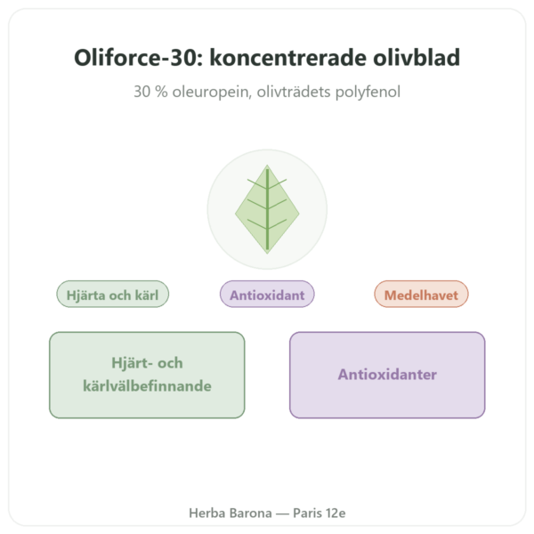 OLIFORCE-30 – Extrakt av Olivblad med 30% oleuropein 10% Triterpener presentation Paris Herba Barona