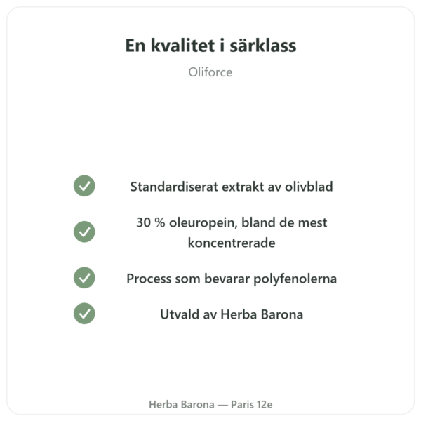 OLIFORCE-30 – Extrakt av Olivblad med 30% oleuropein 10% Triterpener kvalitet Paris Herba Barona