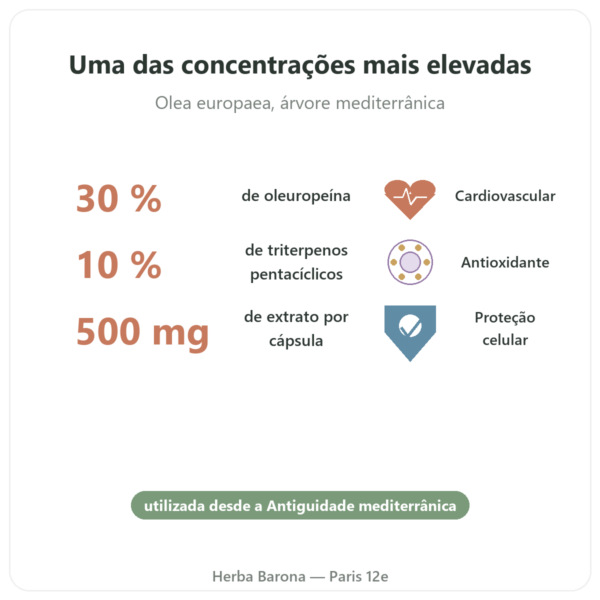 OLIFORCE-30 – Extrato de folhas de Oliveira a 30% oleuropeína 10% Triterpenos benefícios e dados principais Paris Herba Barona