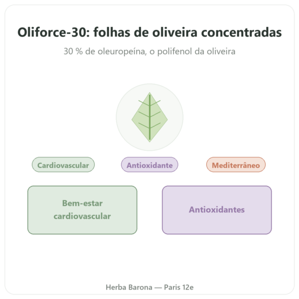 OLIFORCE-30 – Extrato de folhas de Oliveira a 30% oleuropeína 10% Triterpenos apresentação Paris Herba Barona