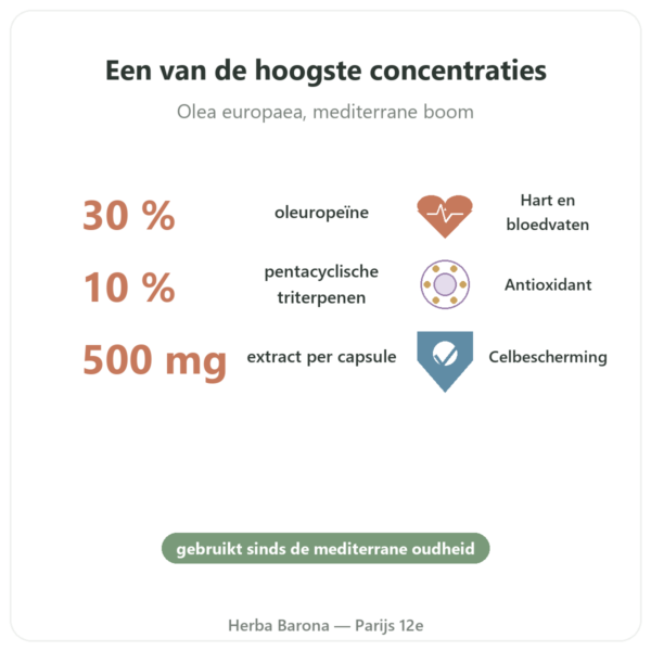 OLIFORCE-30 – Olijfbladextract 30% Oleuropeïne 10% Triterpenen voordelen en kerngegevens Paris Herba Barona