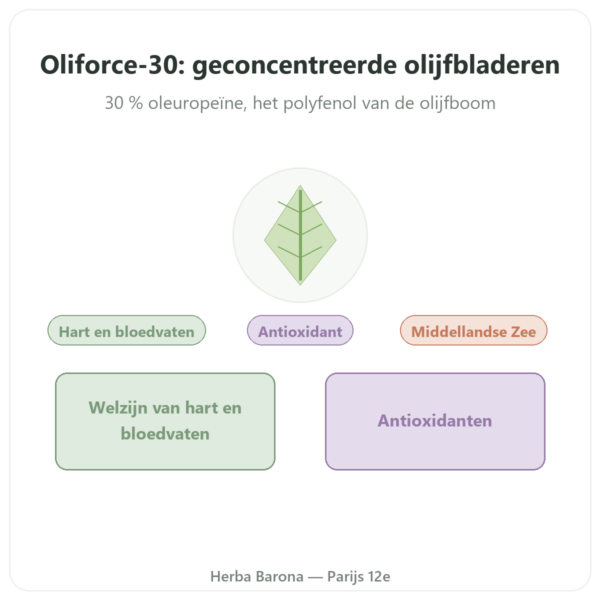 OLIFORCE-30 – Olijfbladextract 30% Oleuropeïne 10% Triterpenen presentatie Paris Herba Barona