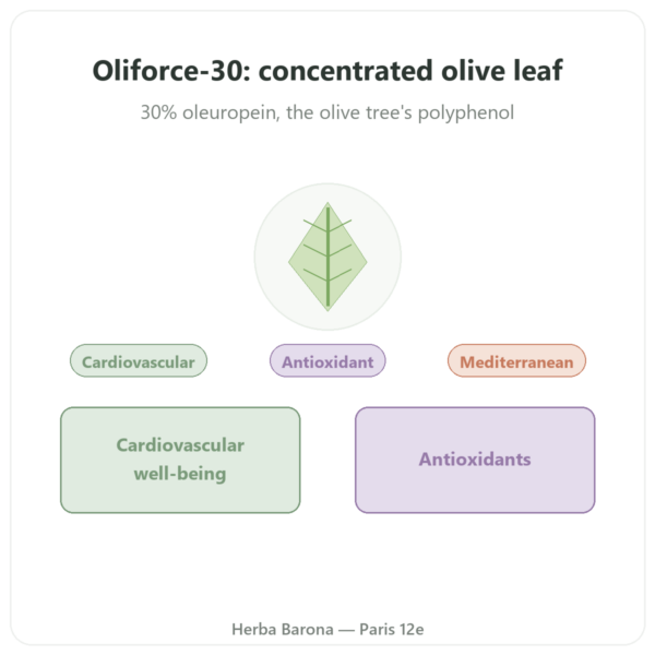OLIFORCE-30 - Olive Leaf Extract 30% Oleuropein 10% Triterpenes presentation Paris Herba Barona