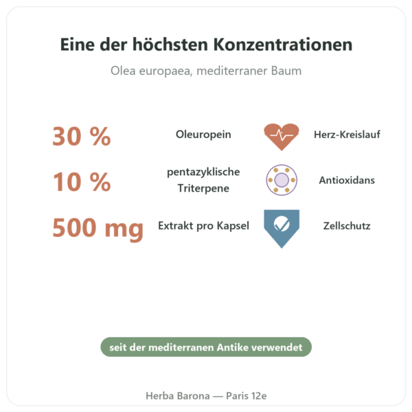 OLIFORCE-30 – Olivenblattextrakt 30% Oleuropein, 10% Triterpene Vorteile und Fakten Paris Herba Barona