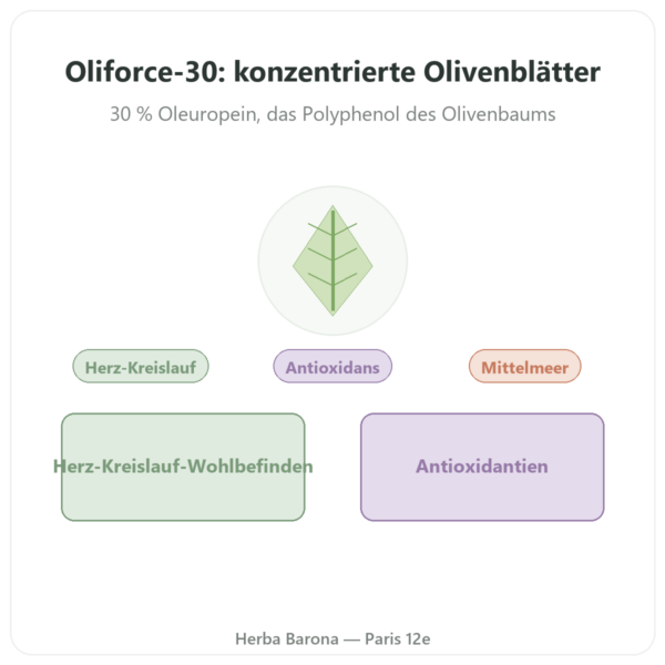 OLIFORCE-30 – Olivenblattextrakt 30% Oleuropein, 10% Triterpene Vorstellung Paris Herba Barona