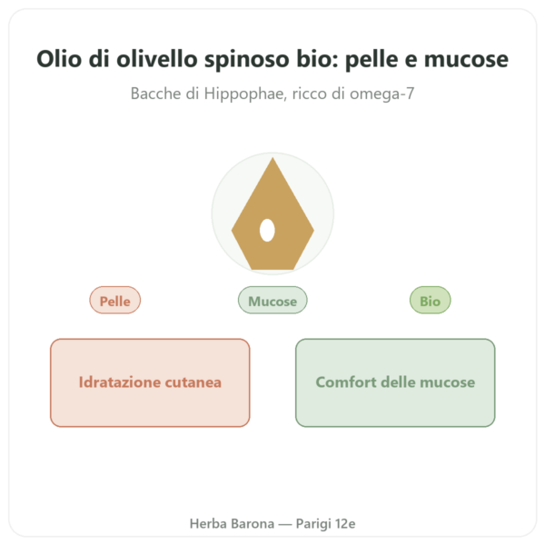 Olio Vegetale di Olivello Spinoso Bio – Flacone 100ml – Idratazione Pelle & Mucose Omega 7 – Biokhaan presentazione Paris Herba Barona