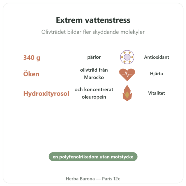 Olivpärlor från Öknen – NaturaMedicatrix – 340 g fördelar och nyckelfakta Paris Herba Barona