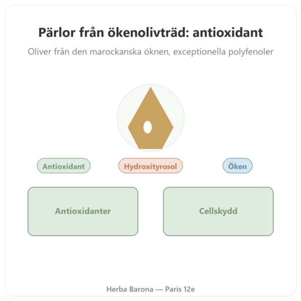 Olivpärlor från Öknen – NaturaMedicatrix – 340 g presentation Paris Herba Barona