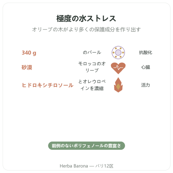 砂漠のオリーブの雫 NaturaMedicatrix 340g benefits and key facts Paris Herba Barona