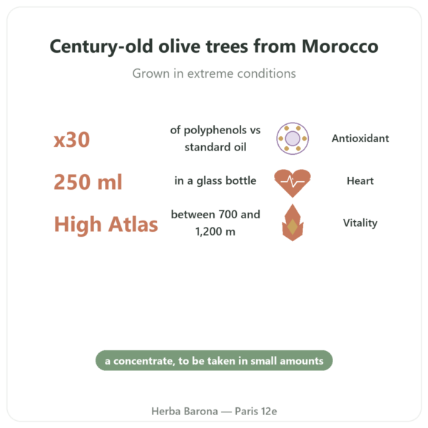 Olivie Plus 30x Concentrated Olive Oil – 250ml Glass Bottle benefits and key facts Paris Herba Barona