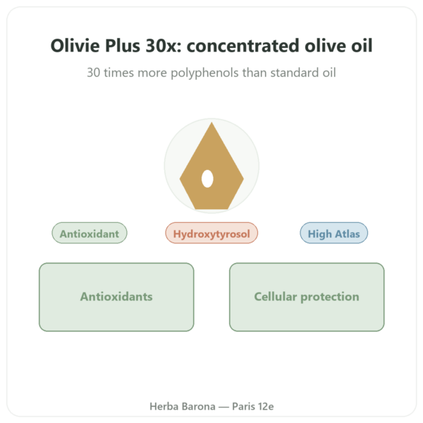 Olivie Plus 30x Concentrated Olive Oil – 250ml Glass Bottle presentation Paris Herba Barona