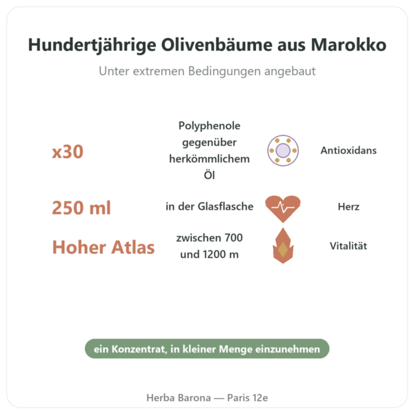 Olivie Plus 30x – reines Olivenöl im Glasflacon 250 ml Vorteile und Fakten Paris Herba Barona