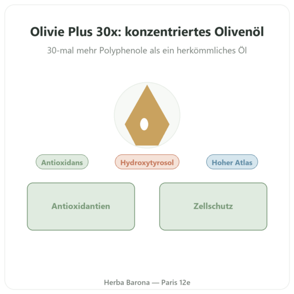 Olivie Plus 30x – reines Olivenöl im Glasflacon 250 ml Vorstellung Paris Herba Barona