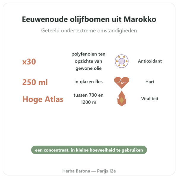 Olivie Plus 30x zuivere olijfolie glas 250 ml – glazen fles voordelen en kerngegevens Paris Herba Barona