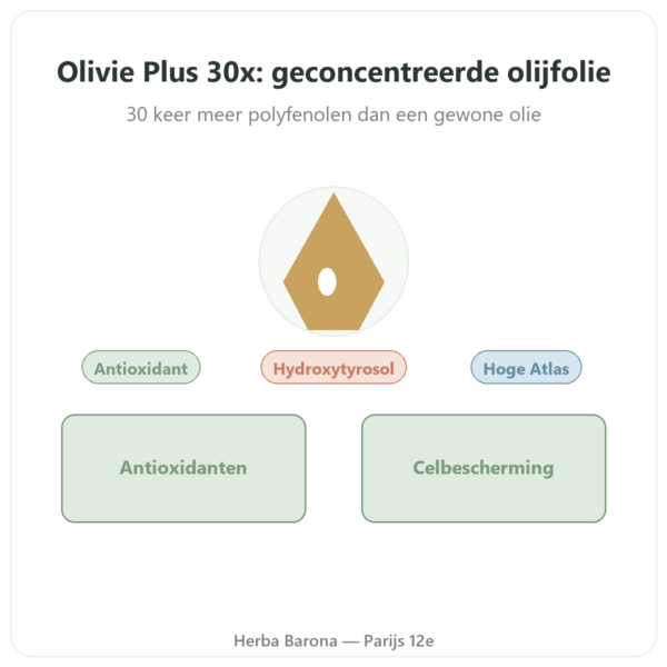 Olivie Plus 30x zuivere olijfolie glas 250 ml – glazen fles presentatie Paris Herba Barona
