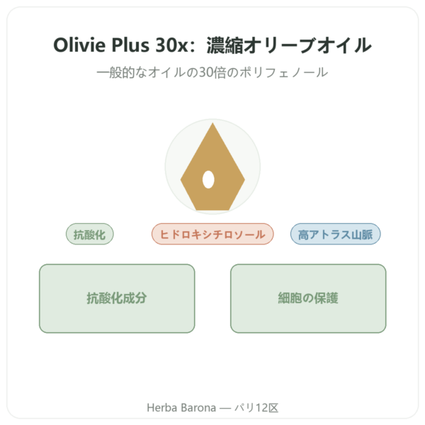 Olivie Plus 30x ピュアオイル ガラス瓶 250 ml – ガラスボトル presentation Paris Herba Barona