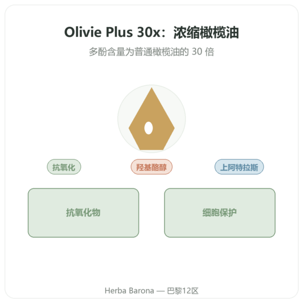 Olivie Plus 30x 纯橄榄油 250 ml 玻璃瓶装 – 玻璃瓶 产品展示 Paris Herba Barona