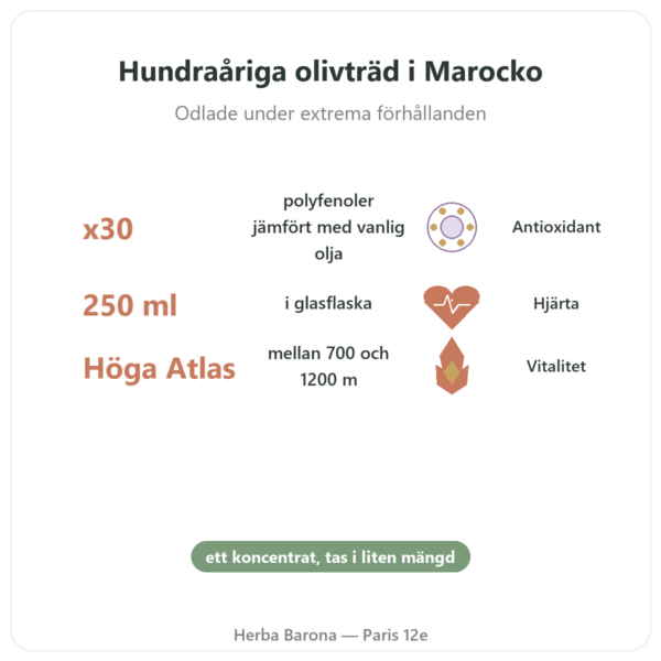 Olivie Plus 30x ren olivolja 250 ml – glasflaska fördelar och nyckelfakta Paris Herba Barona
