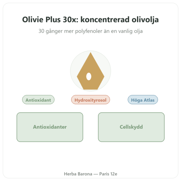 Olivie Plus 30x ren olivolja 250 ml – glasflaska presentation Paris Herba Barona