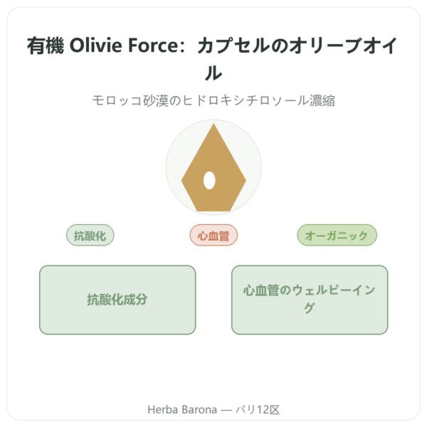 Olivie Riche / Olivie Force bio – 100カプセル – Olivie Pharma presentation Paris Herba Barona