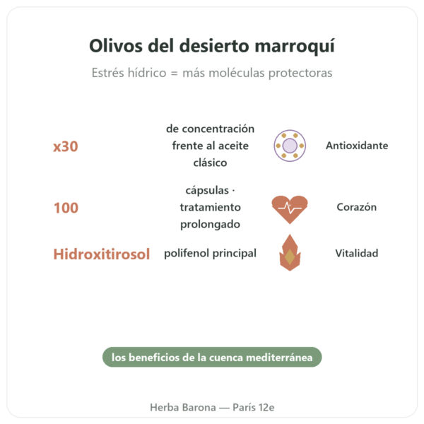 Olivie Riche / Olivie Force Bio – 100 Cápsulas – Olivie Pharma beneficios y datos clave Paris Herba Barona