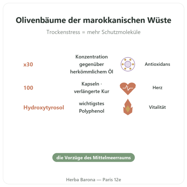 Olivie Riche / Olivie Force Bio – 100 Kapseln – Olivie Pharma Vorteile und Fakten Paris Herba Barona