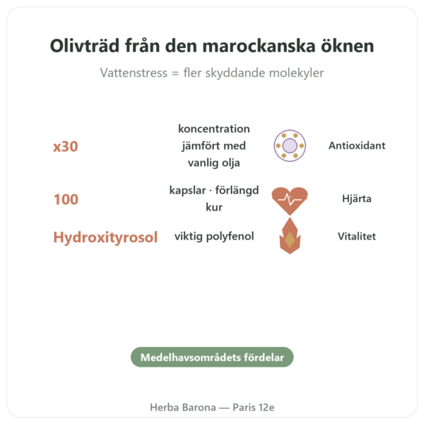 Olivie Riche / Olivie Force Ekologisk – 100 kapslar – Olivie Pharma fördelar och nyckelfakta Paris Herba Barona