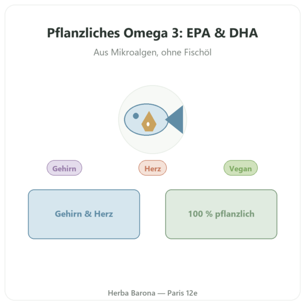 Omega-3 pflanzlich Mikroalge – Dynveo – 500 mg – 60 Kapseln Vorstellung Paris Herba Barona