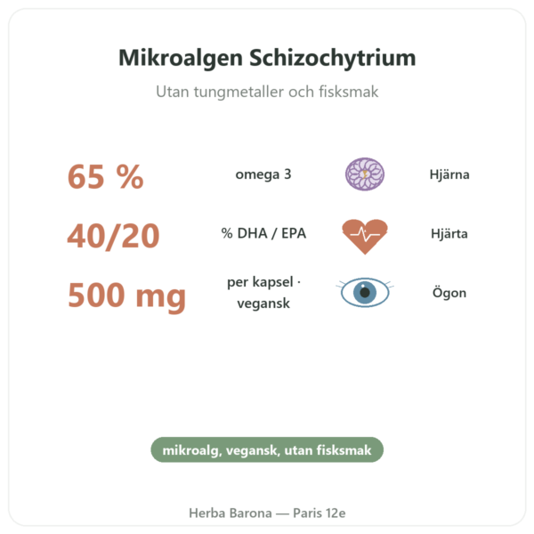 Omega 3 vegetabilisk Mikroalg Dynveo 60 Kapslar 500 mg fördelar och nyckelfakta Paris Herba Barona