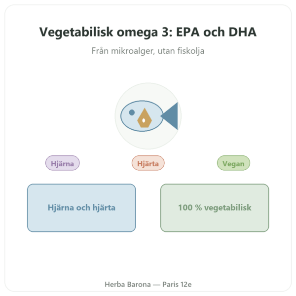Omega 3 vegetabilisk Mikroalg Dynveo 60 Kapslar 500 mg presentation Paris Herba Barona