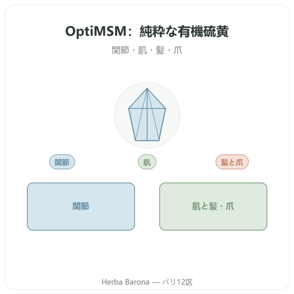 OptiMSM® – 750mg / 180カプセル – Dynveo presentation Paris Herba Barona