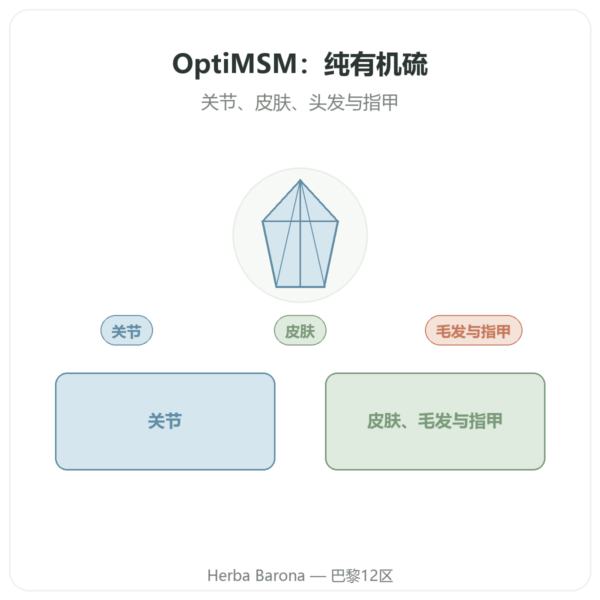 OptiMSM® – 750mg / 180 粒 – Dynveo 产品展示 Paris Herba Barona