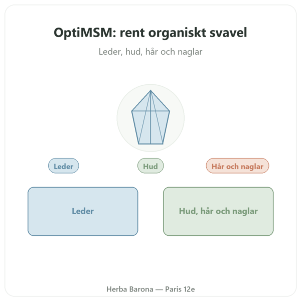 OptiMSM® – 750mg / 180 kapslar – Dynveo presentation Paris Herba Barona
