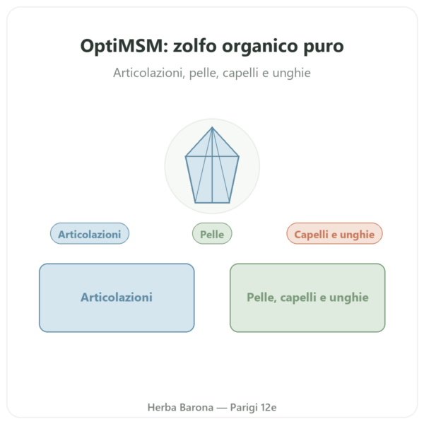 OptiMSM® – 750mg / 180 capsule – Dynveo presentazione Paris Herba Barona