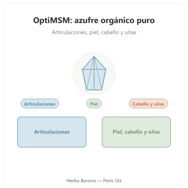 OptiMSM® – 750mg / 180 cápsulas – Dynveo presentación Paris Herba Barona