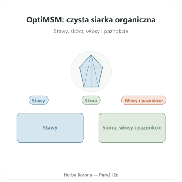 OptiMSM® – 750mg / 180 kapsułek – Dynveo prezentacja Paris Herba Barona