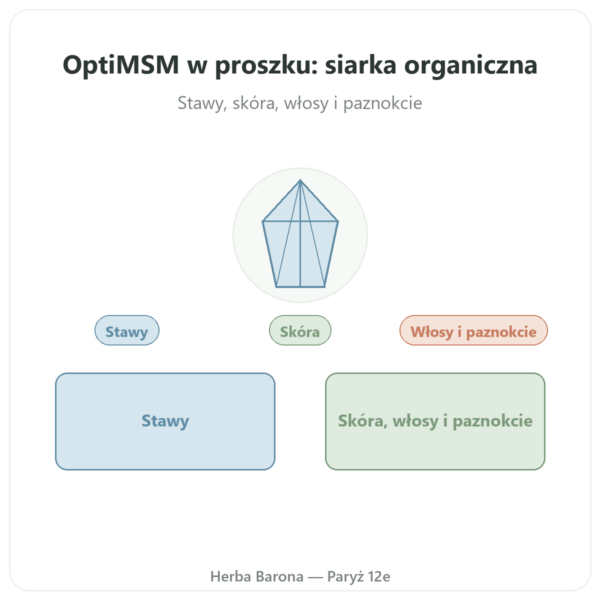 OptiMSM w czystym proszku 250 g – Dynveo prezentacja Paris Herba Barona